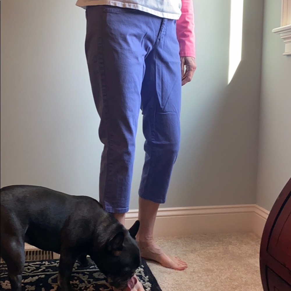 Purple Cropped Jeans